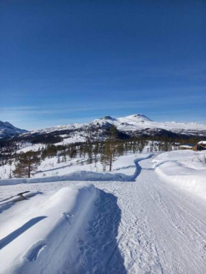 Koselig hytte i Tuddal.